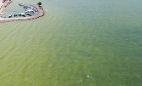 Fethiye Körfezi'nin rengi değişti