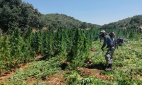 Terörün finans kaynaklarına bir darbe daha