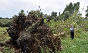 Kırklareli'de hortum ağaçları kökünden söktü