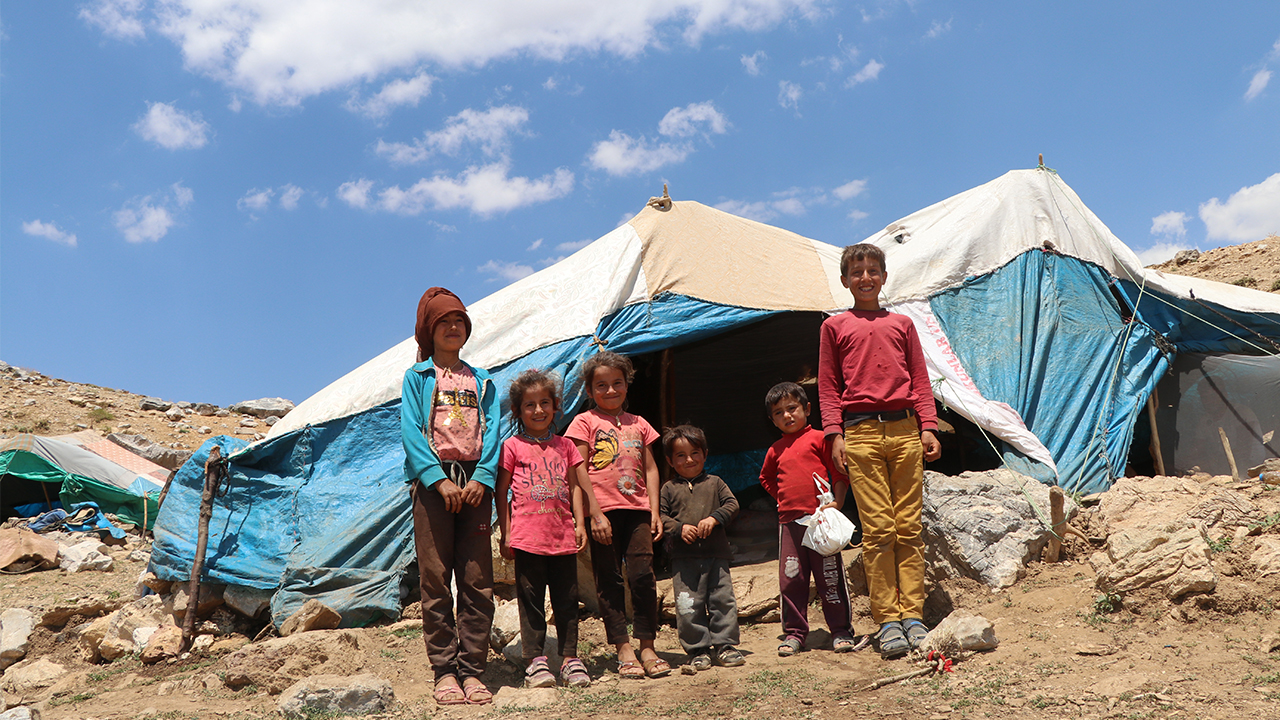 Babası Zeki Sala ile hayvan otlatmaya çıkan Yaşar, Mustafa ve Meral Sala kardeşler, kaya dibindeki bir yuvada 7 keklik yavrusu olduğunu fark etti. 