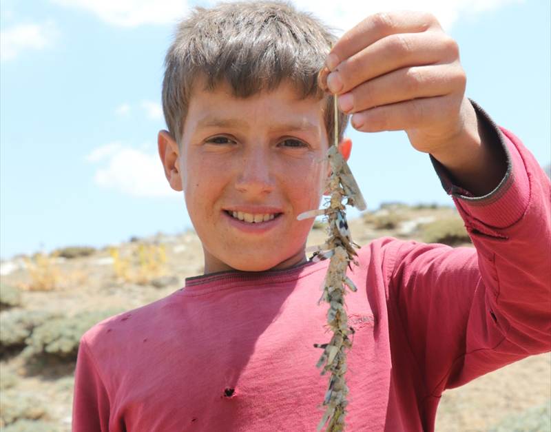 Kardeşlerden Yaşar Sala, yaptığı açıklamada, keklik yavrularının kendilerine adeta kardeş olduğunu söyledi.