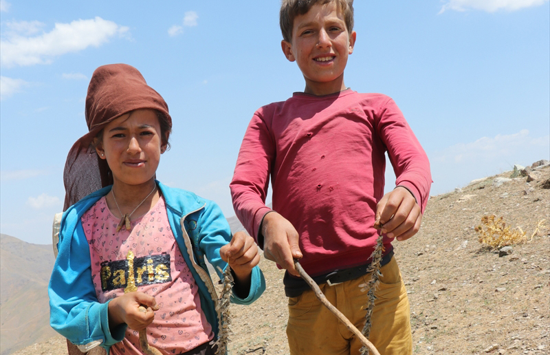 Sala, "Yaylaya her sene çıkıyoruz. Bu sene de çıktık. Bulduğumuz annesiz keklikleri eve götürdük. Her gün sabah, öğlen, akşam onları besliyoruz. İşimiz bitince eşeklerle çadıra su taşıyoruz, oyunlar oynuyoruz." dedi.