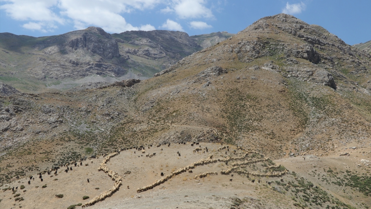 Kekliklerin annesinin, yuvanın yakınında öldüğünü gören çocuklar, durumu babalarına anlattı.