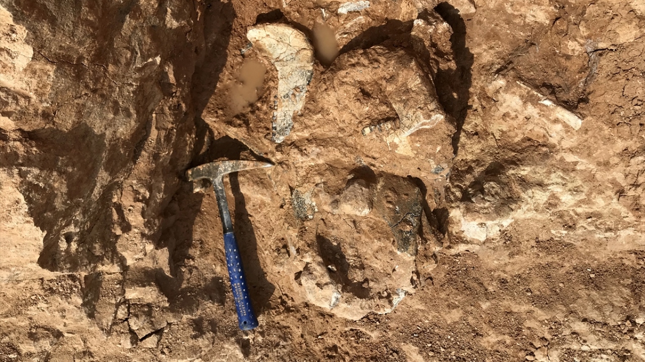 Lodalı Tepesi`nde 2011 yılında yüzey araştırmalarıyla başlanan çalışmalar, Kaman Kalehöyük Arkeoloji Müdürlüğü başkanlığında 4 yıl önce kurtarma kazısına dönüştürüldü.