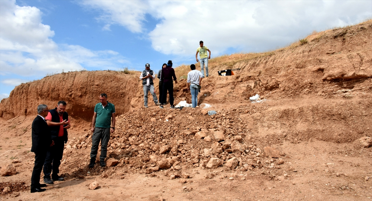 "Bunlar çok değerli fosiller."