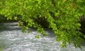 Darende'nin mucize suları kesin korunacak hassas bölge ilan edildi