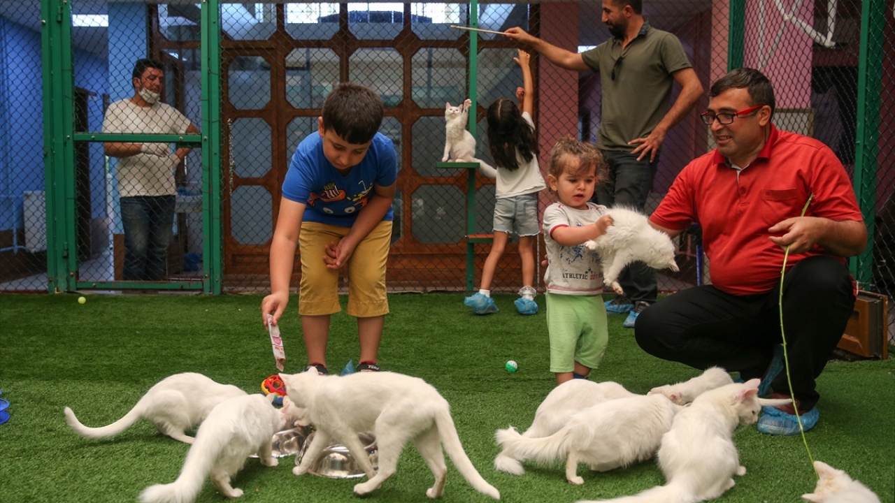 "Ziyaretçi sayımız sürekli artıyor"