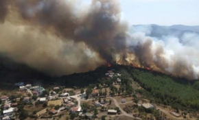 Muğla'da orman yangını
