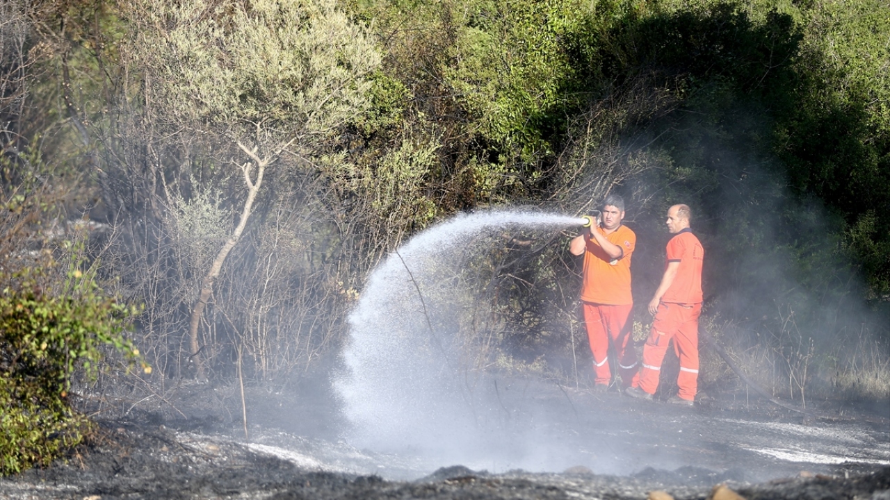 Dikici, şu an için yangın bölgesinde boşaltılan ve hasar gören ev olmadığını sözlerine ekledi. 