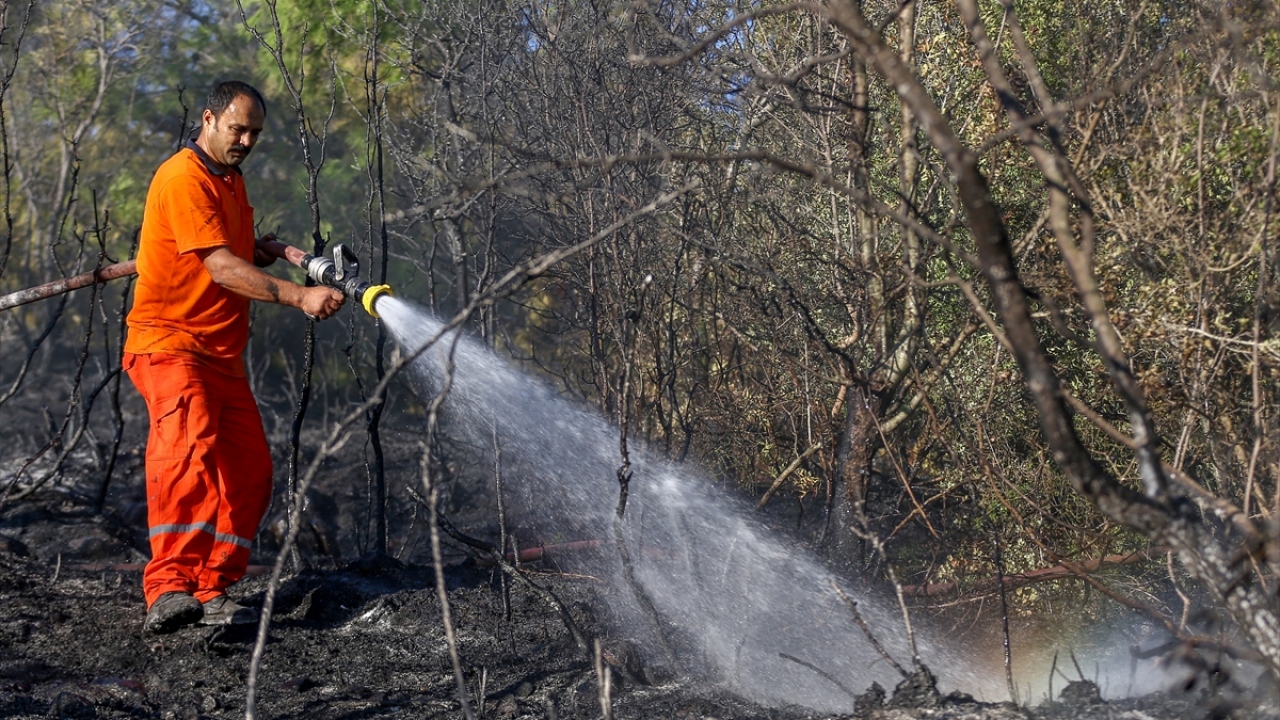 Yangına yakın bölgede zeytinliği ve evi bulunduğunu belirten Süleyman Kiraz ise sabaha karşı pet şişedeki suyla yangın söndürme çalışmasına destek verdi. 