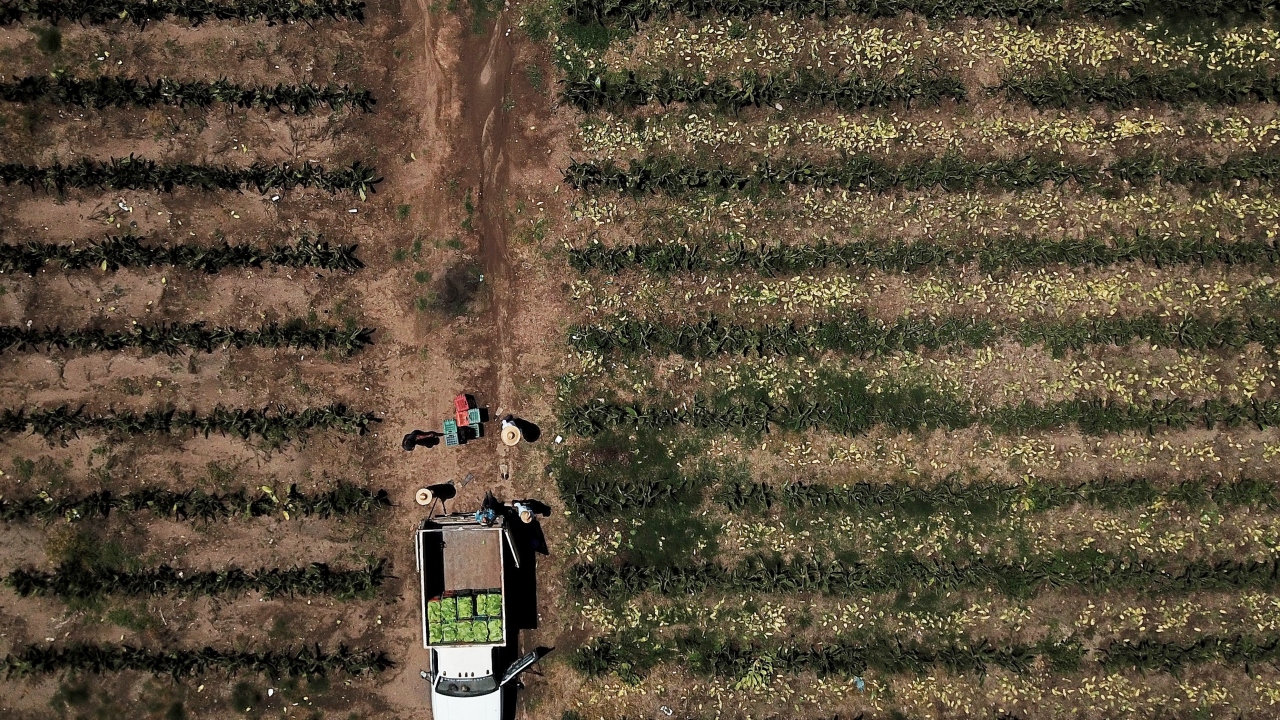 Birleşmiş Milletler rakamlarına göre, Latin Amerika ve Karayipler dünya çapındaki atıkların yaklaşık yüzde 10`unu üretiyor.