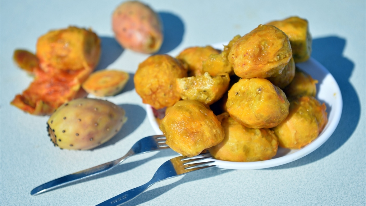 Avcı, ormanlık alanlara dikilen incirlerin, yangınları engellemede de önemli rol oynadığını sözlerine ekledi.