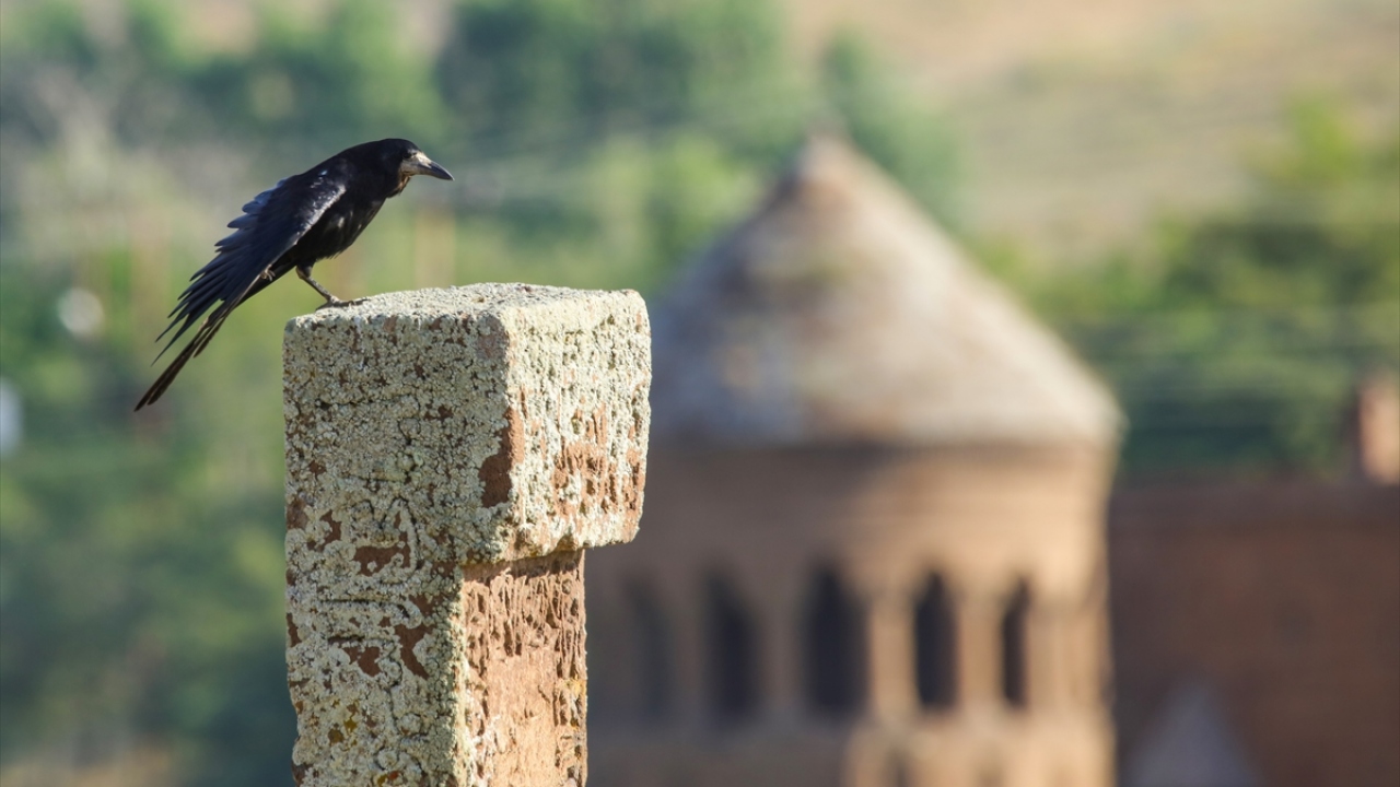 "Çok önemli bir şehir"
