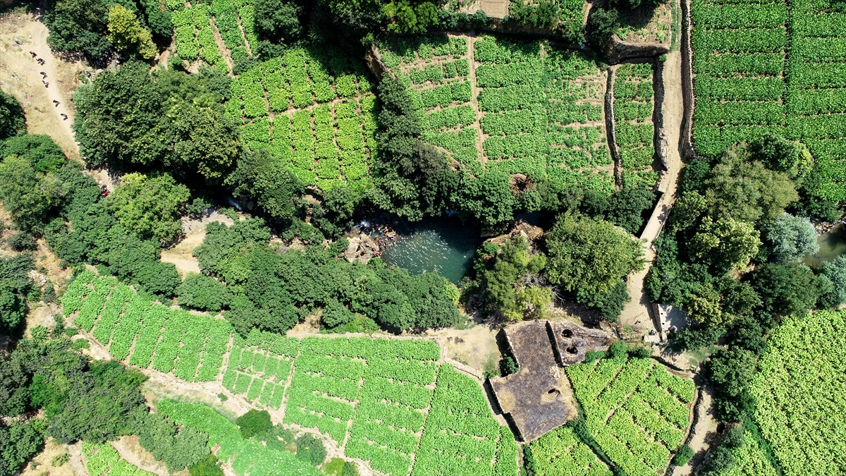 Vadide kuş sesleri eşliğinde şelalenin manzarasını izleyenler, bir yandan da biriken gölette serinliyor.
