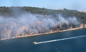 Burgazada'da orman yangını
