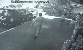 Bahçelievler'de ağaç kaldırımda yürüyen yayaların üzerine devrildi