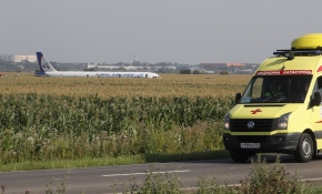 Rusya'da kuş sürüsüne çarpan uçak acil iniş yaptı