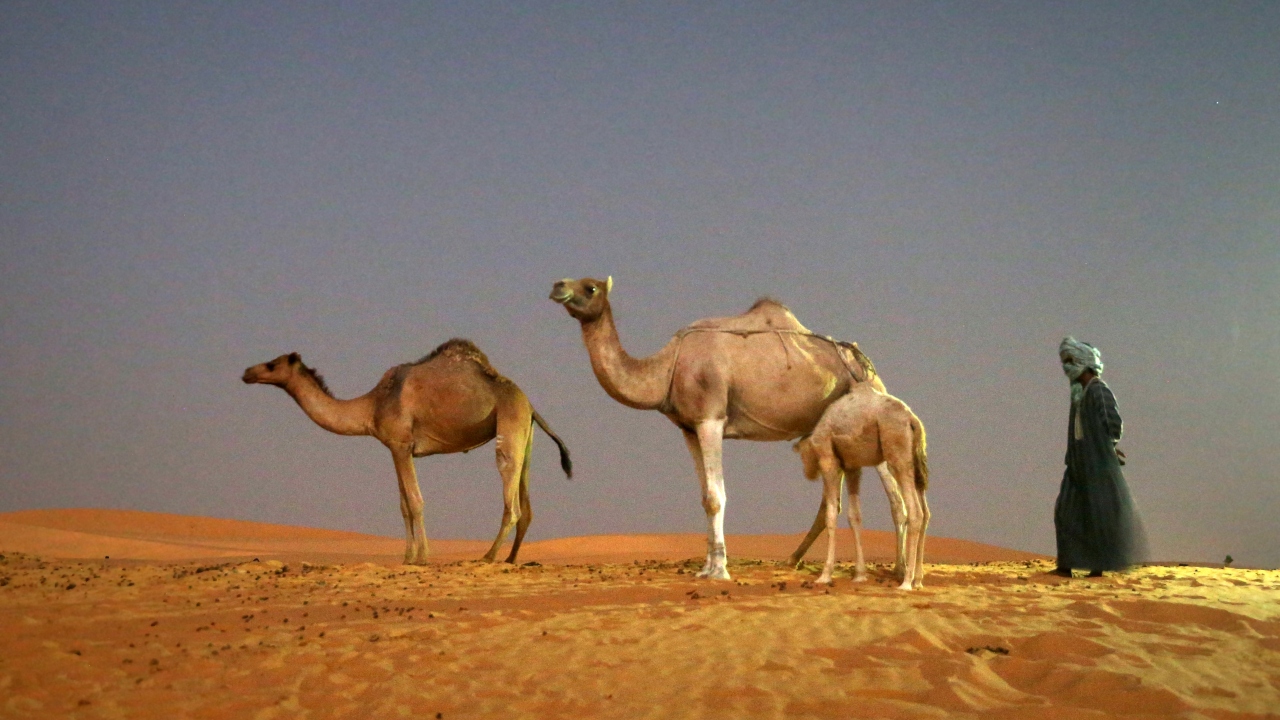 Afrika kıtasının batısında yer alan Moritanya dünyanın dört bir yanından turist ağırlıyor. 