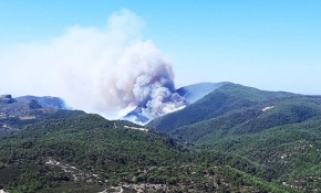 Muğla'da orman yangını