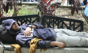 Kolombiya’da Tembellik Günü kutlandı