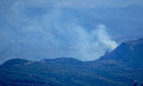 Hatay'da orman yangını
