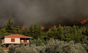 Ege'de 4 ilçede orman yangını