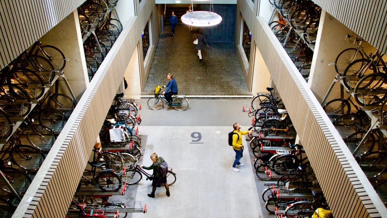 Parkta, geniş gidonlu ve sepetli gibi farklı bisikletler için bulunan özel bölümlerin yanı sıra bisiklet tamiri, bakımı, parça ve aksesuarları için servis noktası ve bisiklet kiralama bölümleri de yer alıyor.