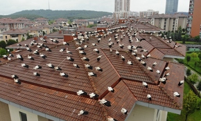 Leyleklerin göç molası havadan görüntülendi