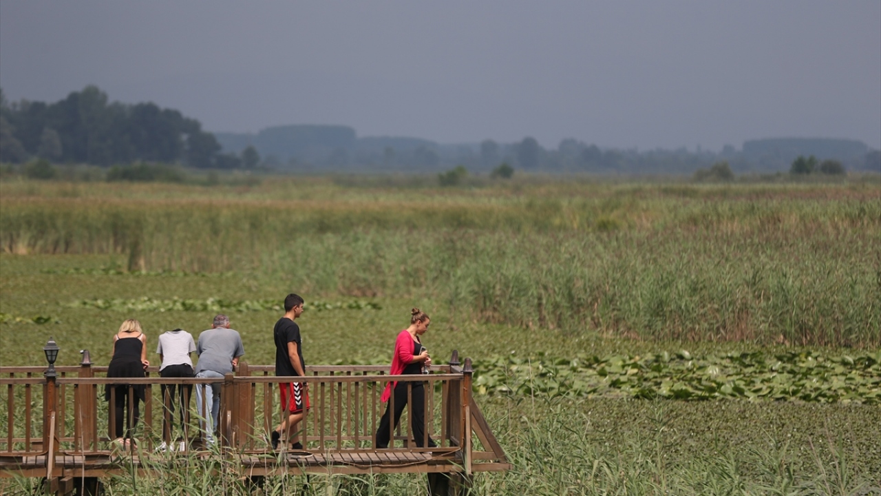Düzce`nin Gölyaka ilçesindeki Efteni Gölü Yaban Hayatı Geliştirme Sahası ve Kuş Cenneti, ev sahipliği yaptığı yaklaşık 150 tür kuş ve endemik bitki çeşitleri ile ziyaretçileri büyülüyor.