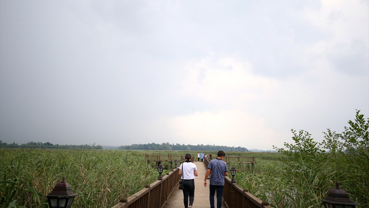 Gölyaka Belediye Başkanı Yakup Demircan, Efteni Kuş Cenneti`nin bölgenin büyük bir değeri olduğunu söyledi.