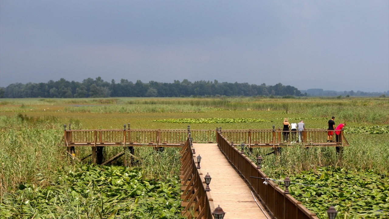 Demircan sözlerine şöyle devam etti: "150 çeşit kuşun yılın belli aylarında buraya uğradığı biliniyor. Bölge, çok önemli güzel bir kuş cenneti."