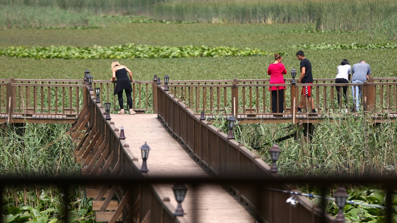 Bölgede yapılacak çalışmanın ihalesinin gerçekleştirildiğini anlatan Demircan, "Burada güzel bir proje hazırlandı ve şu anda bu proje beklemeye alındı. İhale ve yer teslimi konusunda bütün evraklar hazırlandı fakat öncelikli yatırımların tamamlanması bekl
