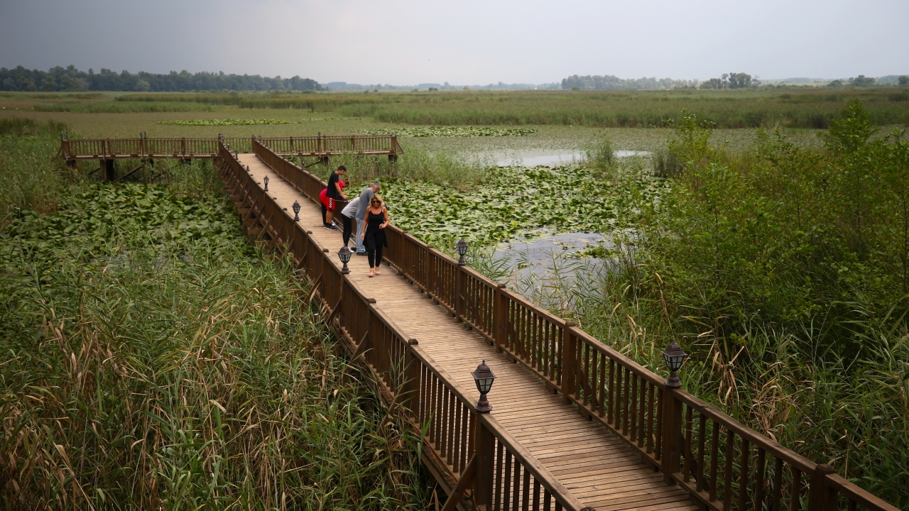Demircan sözlerini şöyle sonlandırdı: "Sapanca Gölü gibi etrafı düzenlendiğinde turizme çok büyük katkısının olacağını düşünüyoruz" dedi.