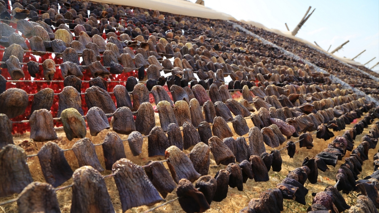 Oğuzeli ilçesinde ev kadınlarının kış hazırlığı için evlerinde yaptığı kurutmalık biber, patlıcan, kabak ve acurlar, ilçe belediyesinin desteğiyle ticarileşip önemli bir geçim kaynağı oldu.