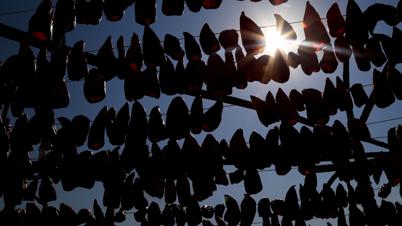 Kurutmalıklar, artık ilçenin bir ekonomik değerine dönüşmüş durumda.