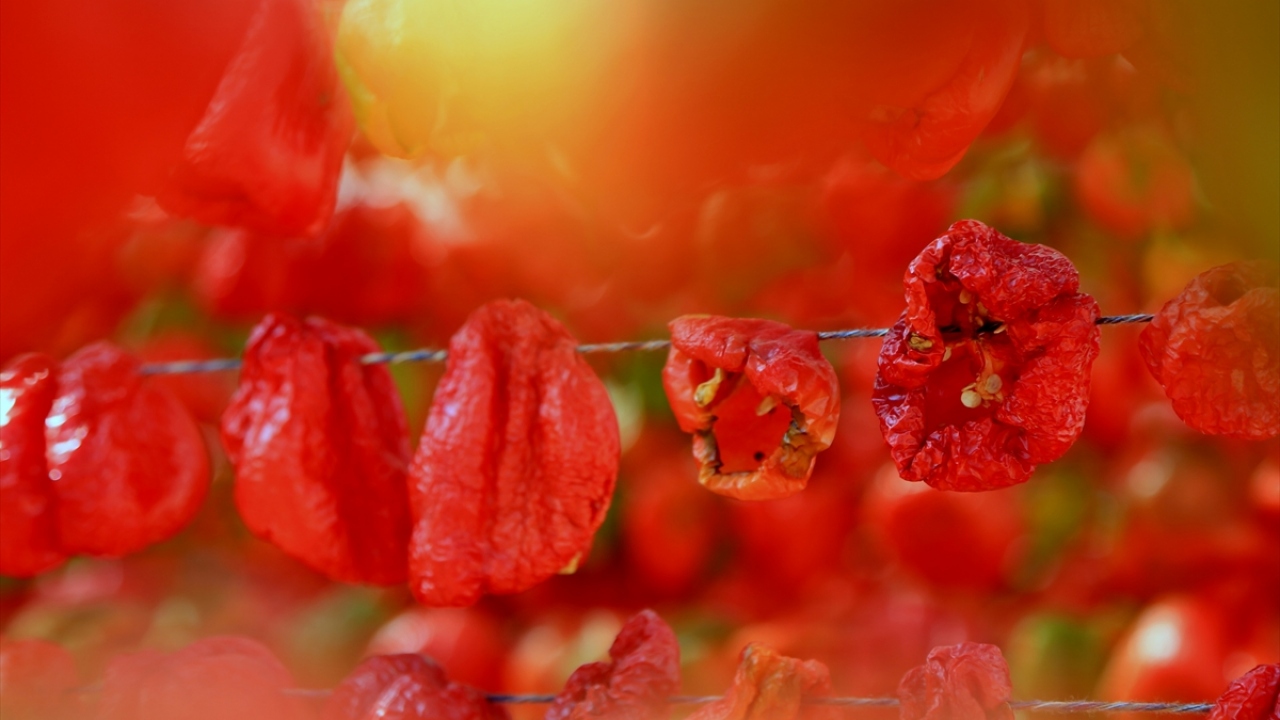 Gaziantep`te yetişen sebzeler, toptancılar aracılığıyla mahallelerde her sabah ev hanımlarına dağıtılıyor. 