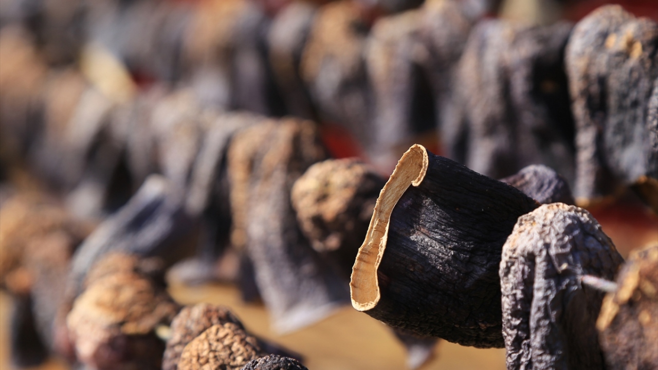 Oğuzeli ilçesinde yaygın olan kurutmalıklar, toplandıktan sonra çardaklara asılarak kurutuluyor.