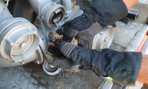 Alevlerin arasında kalan bukalemunu itfaiye eri kurtardı