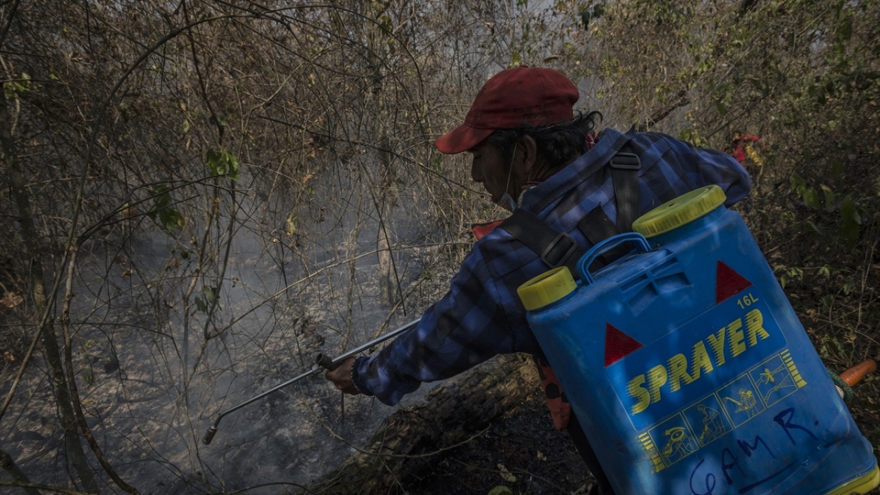 "El Deber" gazetesinin haberine göre, Bolivya`nın beş ayrı kentinde yapılan yürüyüşlerde yüzlerce kişi, Amazon ormanlarındaki yangınlara dikkati çekti.