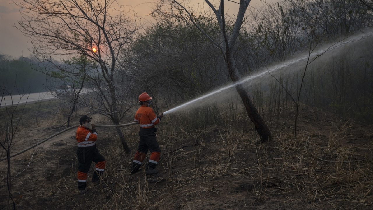 Çevre aktivistlerinin de katıldığı yürüyüşte bazı göstericiler, "Dünyanın en büyük yağmur ormanları yanıyor" yazılı pankartlar taşırken, bazıları ise tepkilerini çeşitli müzik aletleri çalarak gösterdi.