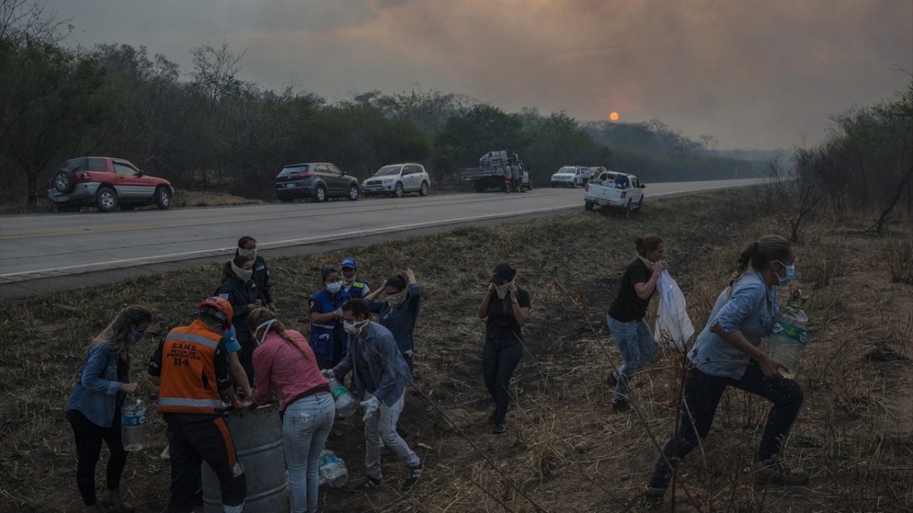 Yürüyüşte göstericiler, ülkede kontrol altına alınamayan yangınlarla daha etkin mücadele için hükümete ve uluslararası kuruluşlara iş birliği çağrısı yaptı.