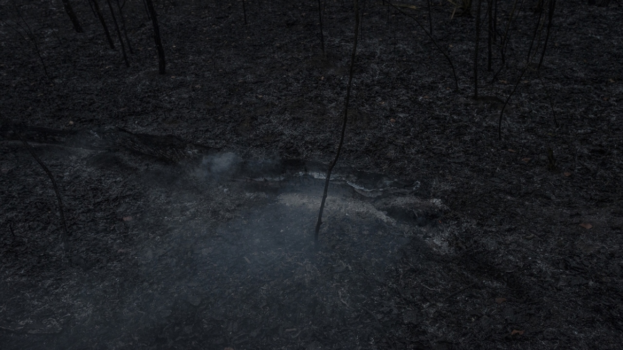 Diğer yandan, Bolivya Devlet Başkanı Evo Morales, basına yaptığı açıklamada, ülkede 900 bin hektar civarındaki alanı kül eden yangınlarla mücadele konusunda diğer ülkelerden gelecek yardımları memnuniyetle karşılayacağını belirtti.