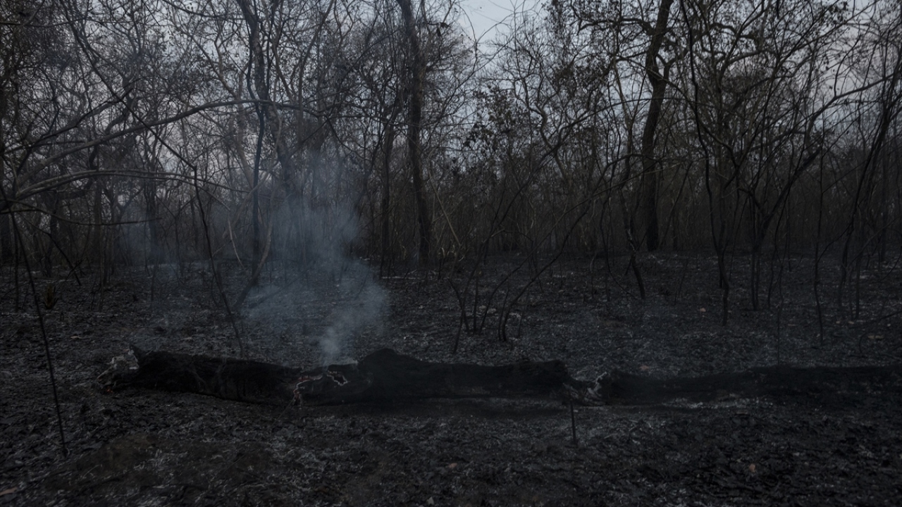 Kapılarının uluslararası tüm kuruluşlara açık olduğunu dile getiren Morales, Arjantin ve Peru gibi çeşitli ülkelerden aldıkları yardım teklifini kabul ettiklerini de kaydetti.