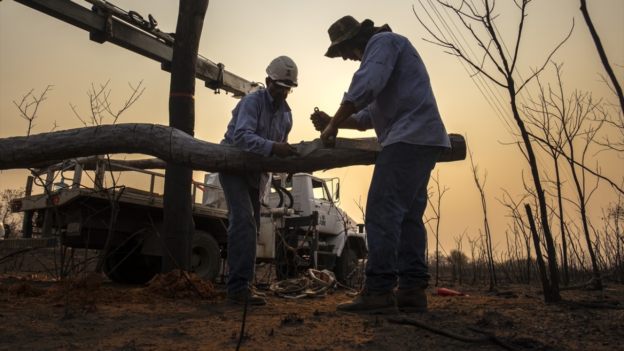 Amazon Ormanları yanıyor