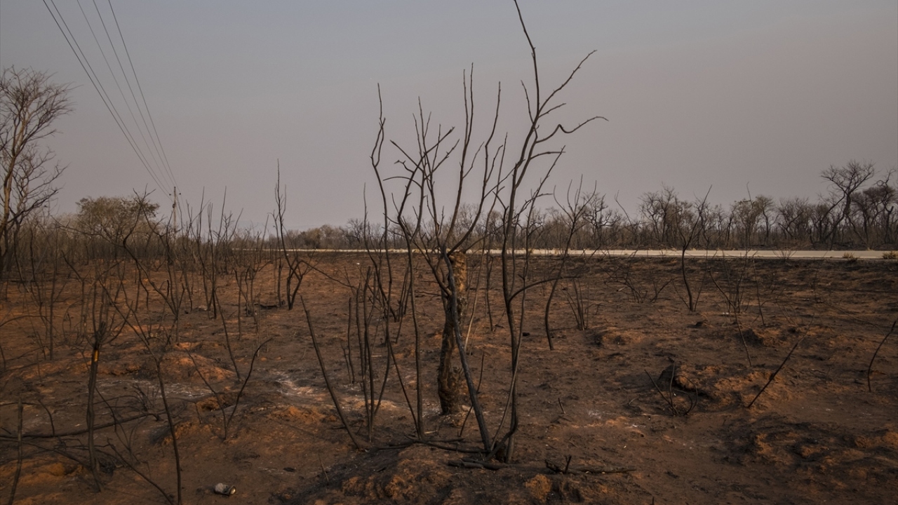Bolivya`da yangın nedeniyle en fazla, Brezilya ve Paraguay sınırında yer alan Chiquitania bölgesindeki ormanların zarar gördüğü bildiriliyor.