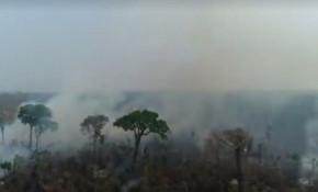 Amazon ormanlarındaki yıkım havadan görüntülendi