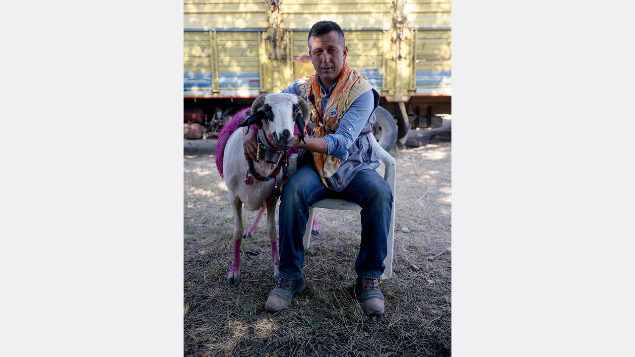 Arif Lahnacı, yarışmaya "Sakar" adını verdiği elci koyunuyla katıldı.