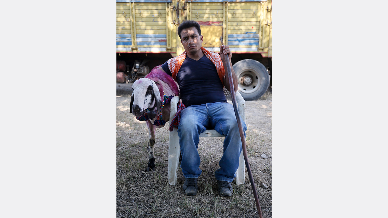 Hüseyin Çandır, yarışmaya "Akbaş" adını verdiği elci koyunuyla katıldı.