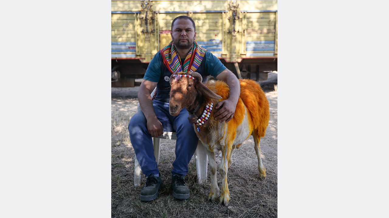 Ahmet Karaduman, yarışmaya "fırtına" adını verdiği elci koyunuyla katıldı.
