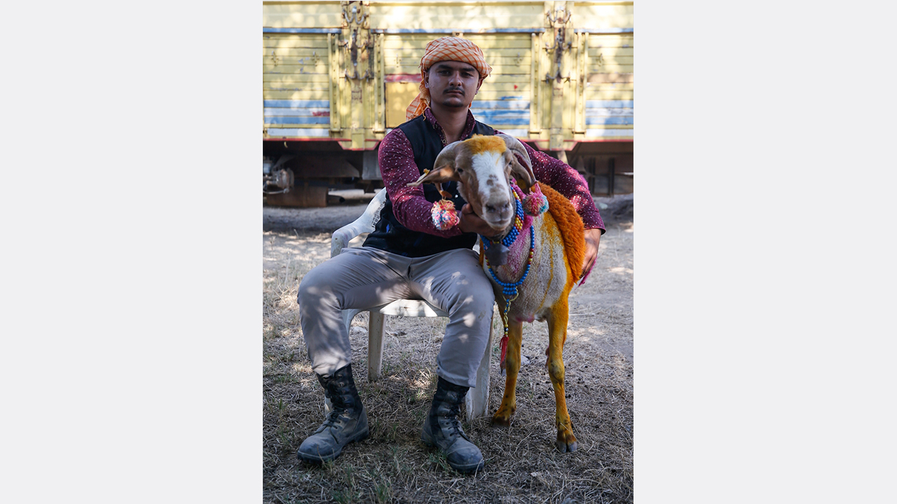Muhammet Cingöz, yarışmaya "Mor Koyun" adını verdiği elci koyunuyla katıldı.